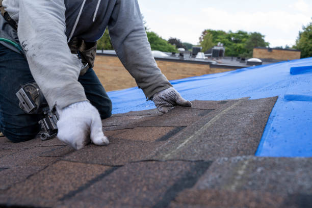Best Local Roofing Companies  in North Madison, OH