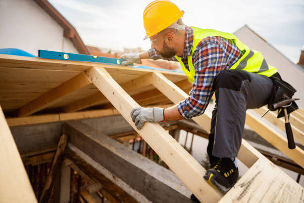 Best Roof Gutter Cleaning  in North Madison, OH